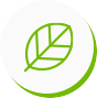 autoflowering
